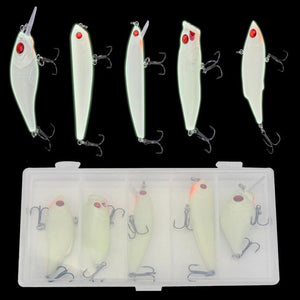 5pc3D Night Fishing Lure Plastic