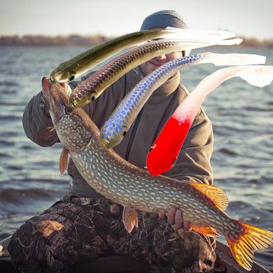 4pc Soft Sinking Silicone Fishing Lures