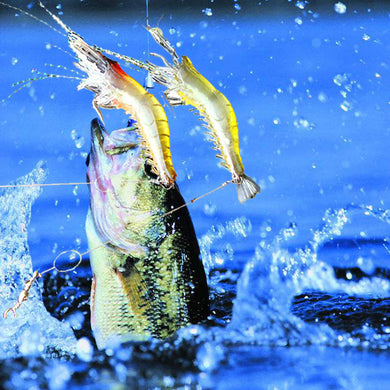 2pc Silicone Shrimp Fishing lure