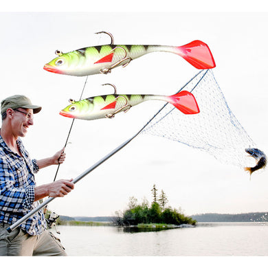 2pc fishing lure