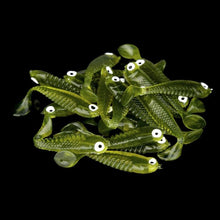 20 Pcs 5cm Soft fishing lure