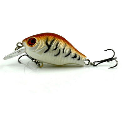5pcs Fishing Lures