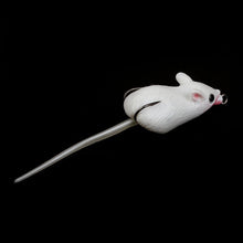 Fishing Lures Mouse