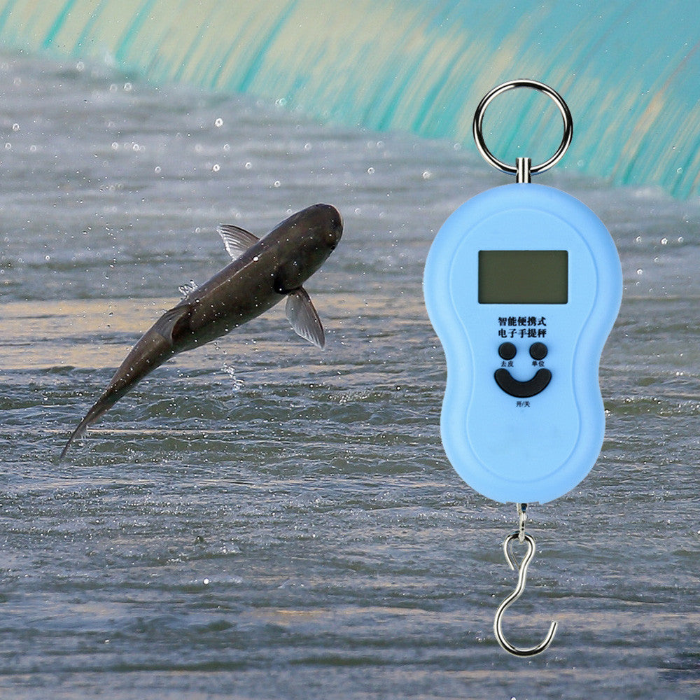 50kg/10g Digital LCD Portable