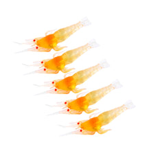 5 pcs Fishing Lures
