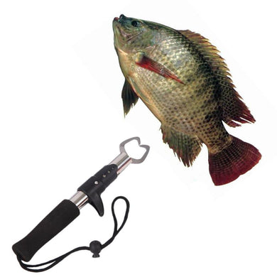 1PC Fish Gripper